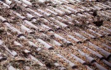 Ireby roof cleaning companies